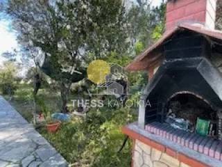 Ύπαρξη ανθρώπου