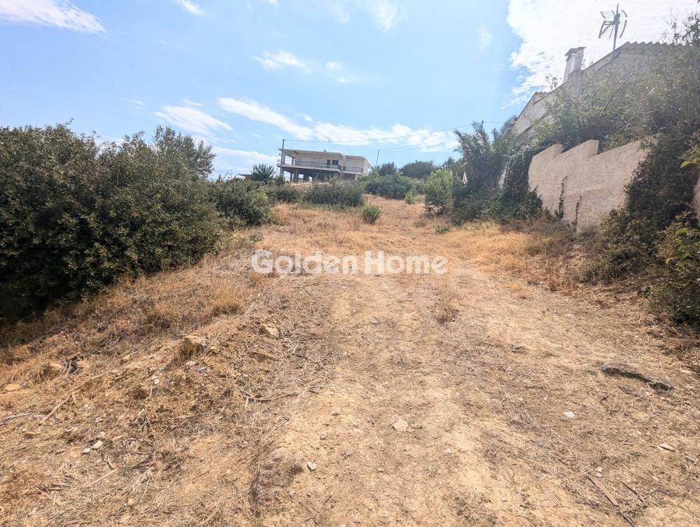 Κυρίως Χώρος