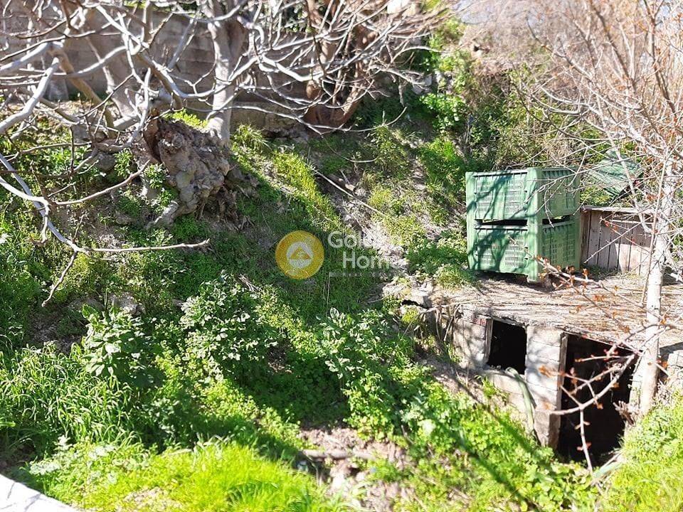 Εξωτερικός Χώρος