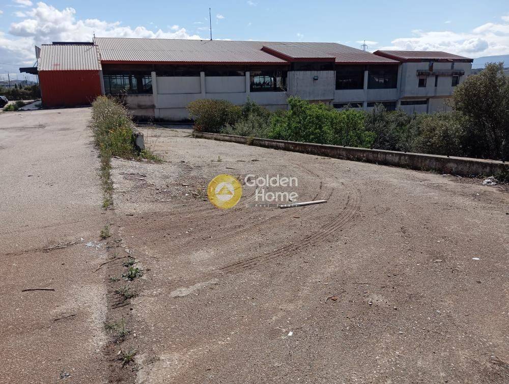 Εξωτερικός Χώρος