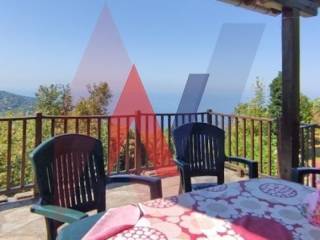 Ύπαρξη ανθρώπου