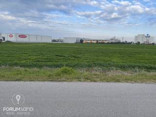 Forumland Real Estate, Αγροτεμάχιο