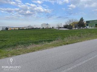 Forumland Real Estate, Αγροτεμάχιο