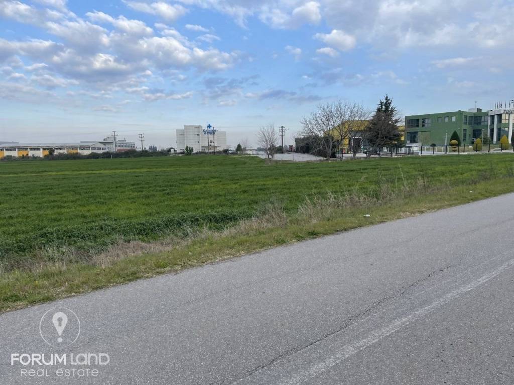 Forumland Real Estate, Αγροτεμάχιο