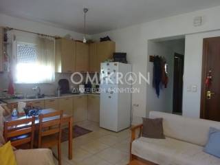 Σαλοκουζίνα