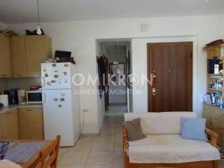 Σαλοκουζίνα