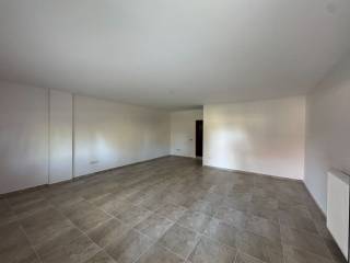 Saloni,koyzina isogeioy