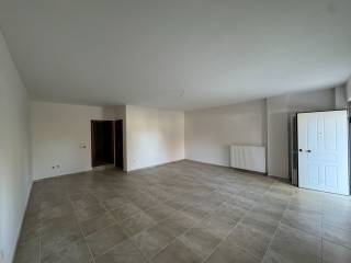 Saloni,koyzina isogeioy