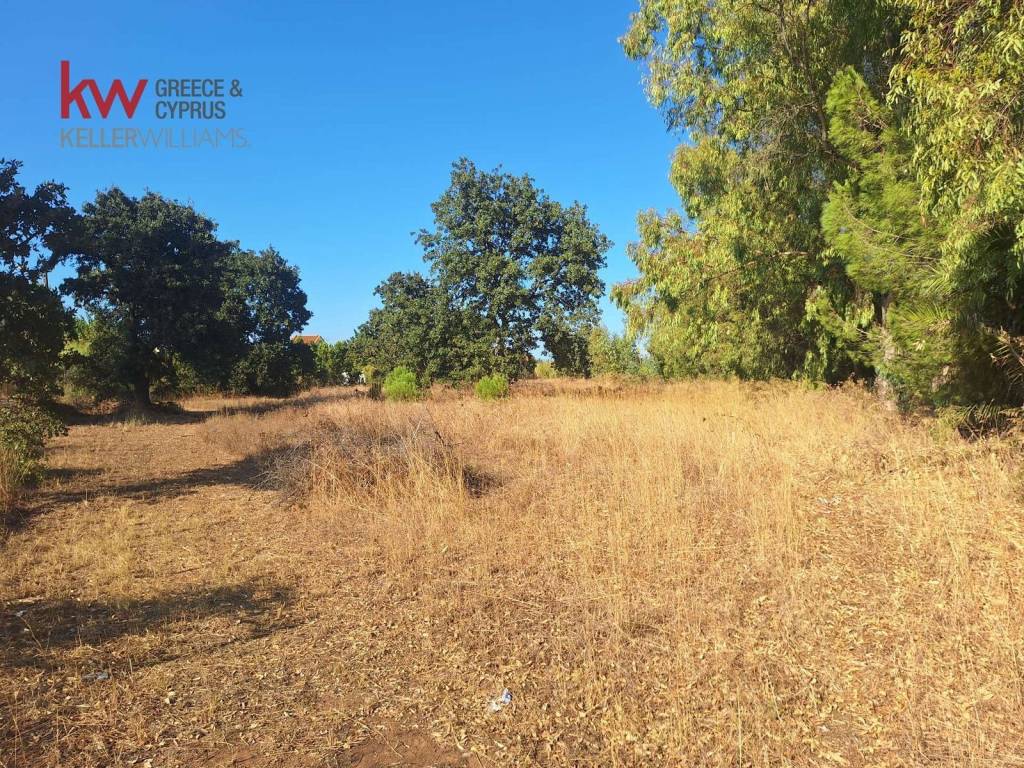 Εξωτερικοι χώροι