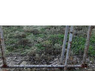 ΤΗΛΕΦΩΝΟ ΕΠΙΚΟΙΝΩΝΙΑΣ : 2310765495 // 6987494959  ΚΑΡΑΟΥΛΑΝΗ