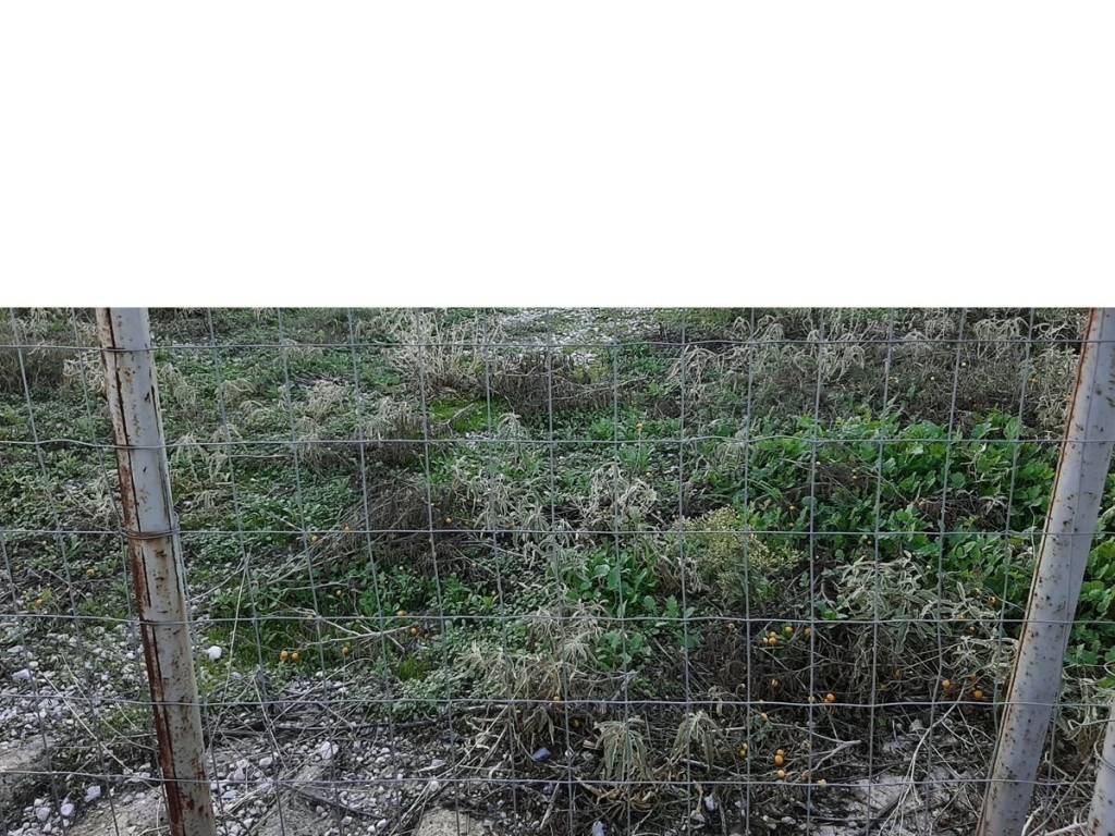 ΤΗΛΕΦΩΝΟ ΕΠΙΚΟΙΝΩΝΙΑΣ : 2310765495 // 6987494959  ΚΑΡΑΟΥΛΑΝΗ