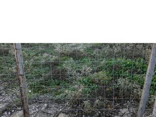 ΤΗΛΕΦΩΝΟ ΕΠΙΚΟΙΝΩΝΙΑΣ : 2310765495 // 6987494959  ΚΑΡΑΟΥΛΑΝΗ