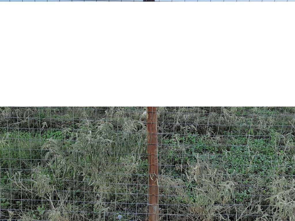 ΤΗΛΕΦΩΝΟ ΕΠΙΚΟΙΝΩΝΙΑΣ : 2310765495 // 6987494959  ΚΑΡΑΟΥΛΑΝΗ