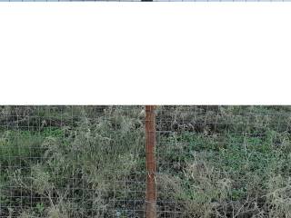 ΤΗΛΕΦΩΝΟ ΕΠΙΚΟΙΝΩΝΙΑΣ : 2310765495 // 6987494959  ΚΑΡΑΟΥΛΑΝΗ