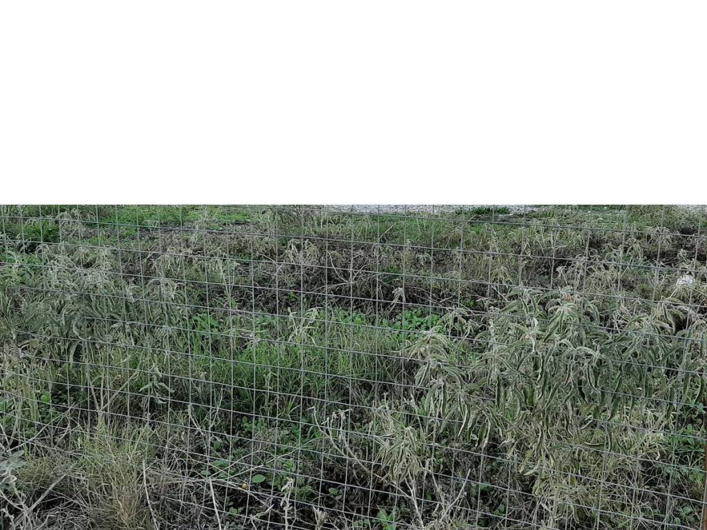 ΤΗΛΕΦΩΝΟ ΕΠΙΚΟΙΝΩΝΙΑΣ : 2310765495 // 6987494959  ΚΑΡΑΟΥΛΑΝΗ