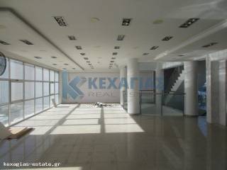 ΕΣΩΤΕΡΙΚΗ ΛΗΨΗ