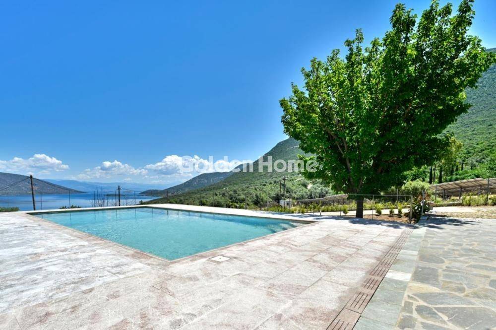 Ανελκυστήρας