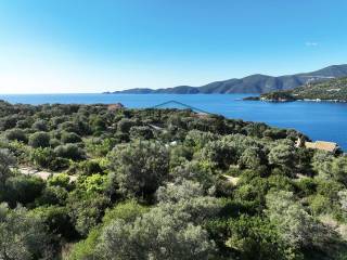 Η όμορφη θέα από το αγροτεμάχιο