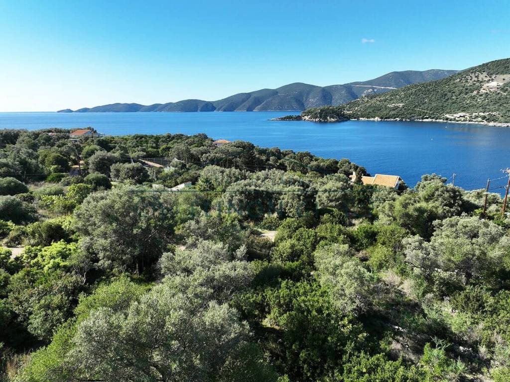 Η όμορφη θέα από το αγροτεμάχιο