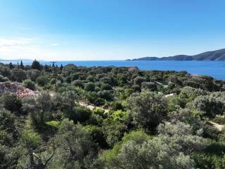 Η όμορφη θέα από το αγροτεμάχιο