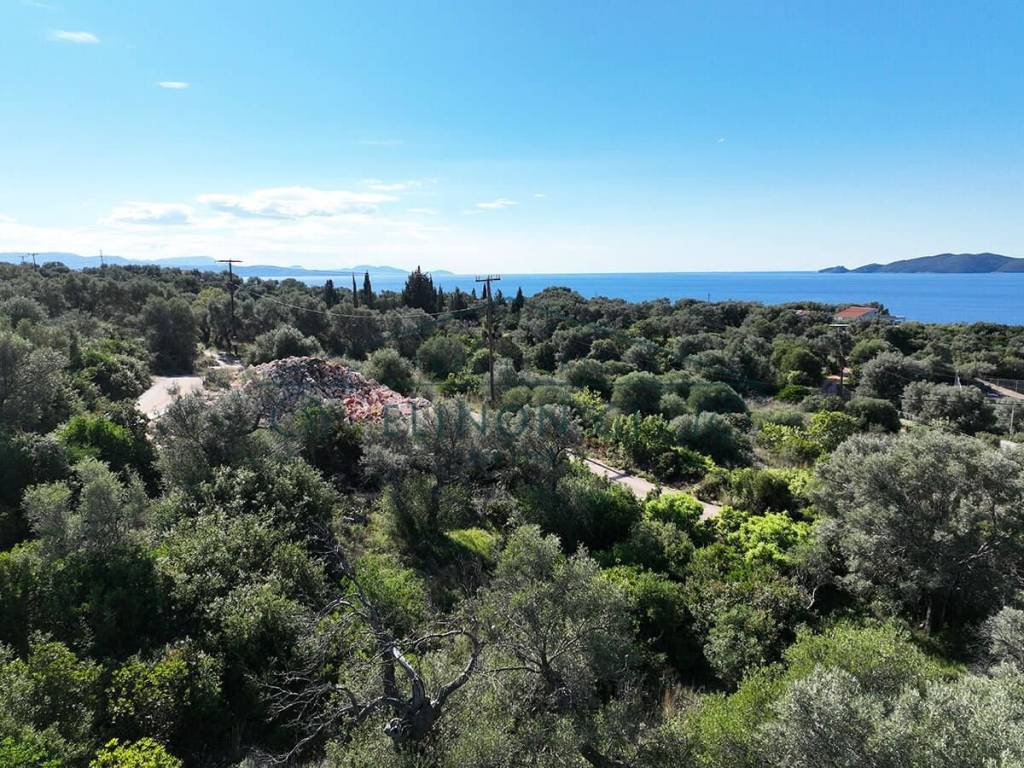 Η όμορφη θέα από το αγροτεμάχιο