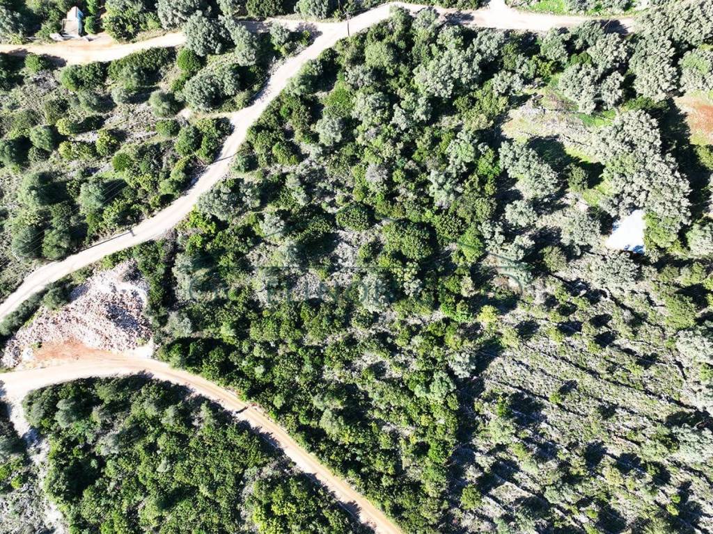 Το αγροτεμάχιο από ψηλά