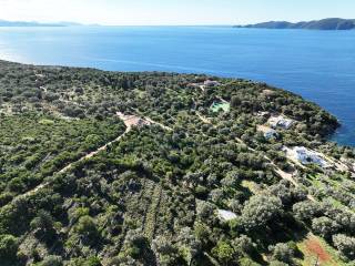 Το αγροτεμάχιο από ψηλά