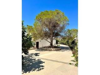 Exoterike leptomereia