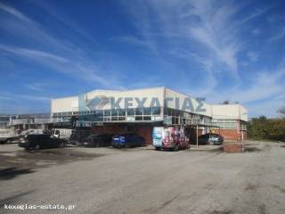 ΕΞΩΤΕΡΙΚΗ ΟΨΗ