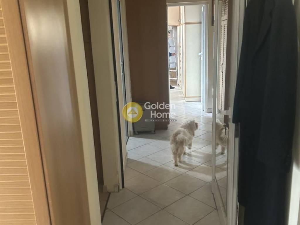 Ανελκυστήρας