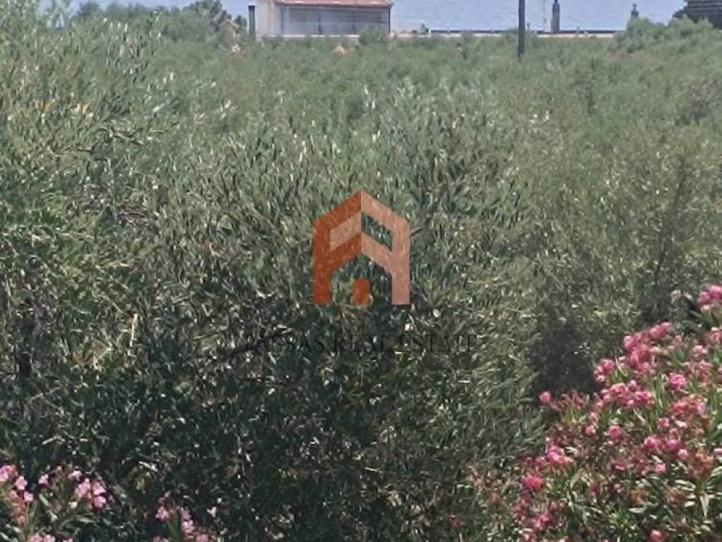 Θέα απο μπαλκόνι