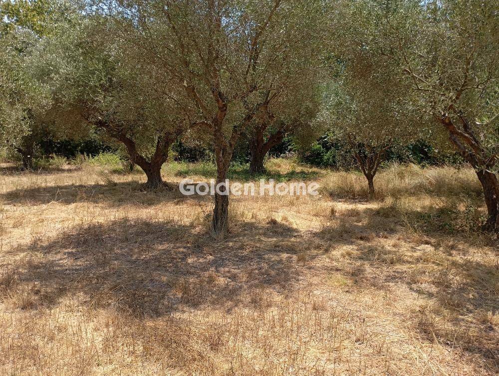 Κυρίως Χώρος