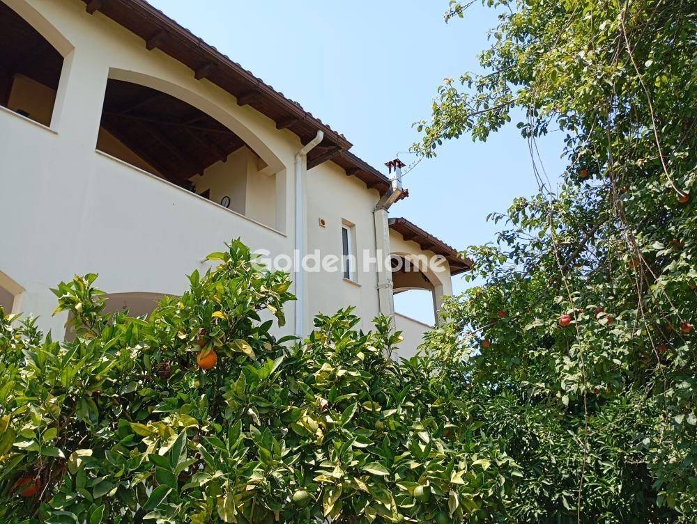 Κυρίως Χώρος