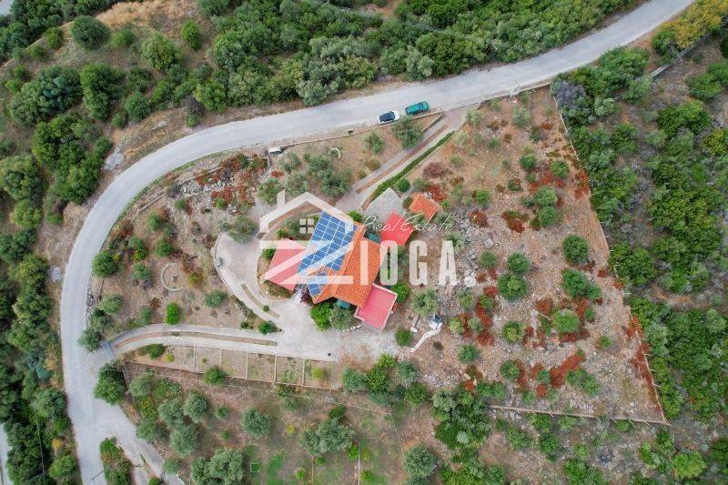 Ύπαρξη ανθρώπου