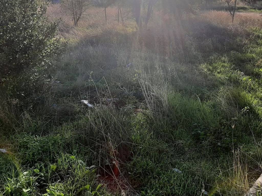 ΤΗΛΕΦΩΝΟ ΕΠΙΚΟΙΝΩΝΙΑΣ : 2310765495 // 6987494959  ΚΑΡΑΟΥΛΑΝΗ