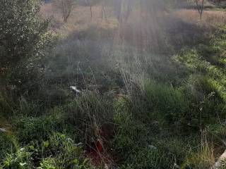 ΤΗΛΕΦΩΝΟ ΕΠΙΚΟΙΝΩΝΙΑΣ : 2310765495 // 6987494959  ΚΑΡΑΟΥΛΑΝΗ