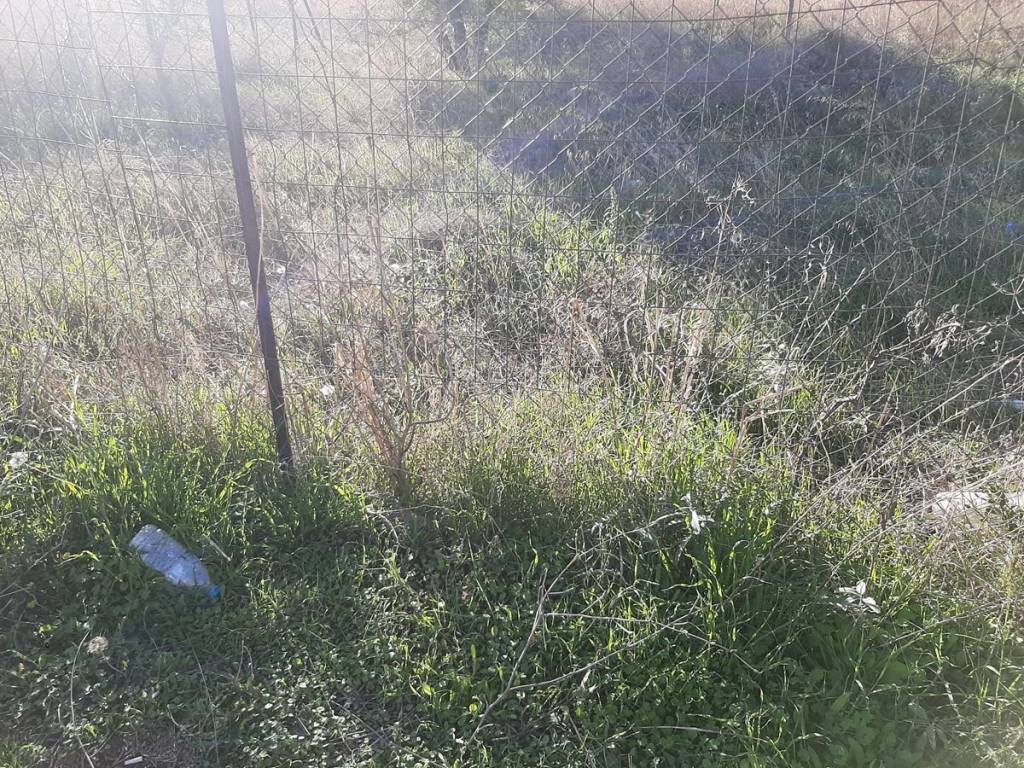 ΤΗΛΕΦΩΝΟ ΕΠΙΚΟΙΝΩΝΙΑΣ : 2310765495 // 6987494959  ΚΑΡΑΟΥΛΑΝΗ