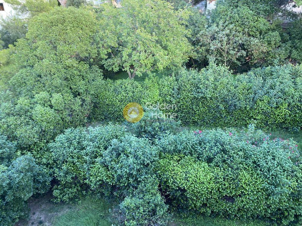 Κυρίως Χώρος