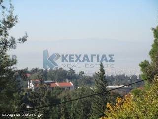 ΑΝΟΙΧΤΩΣΙΑ ΘΕΑ