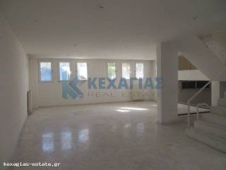 ΣΑΛΟΝΙ ΗΜΙΥΠΟΓΕΙΟΥ