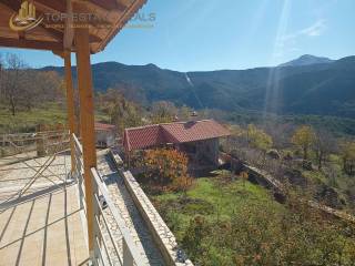 Skepasto bbq psestaria -mantra -mpalkoni