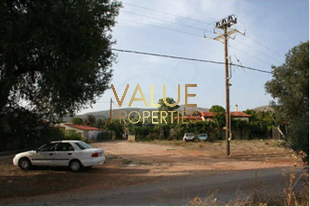 Εξωτερικοι χώροι