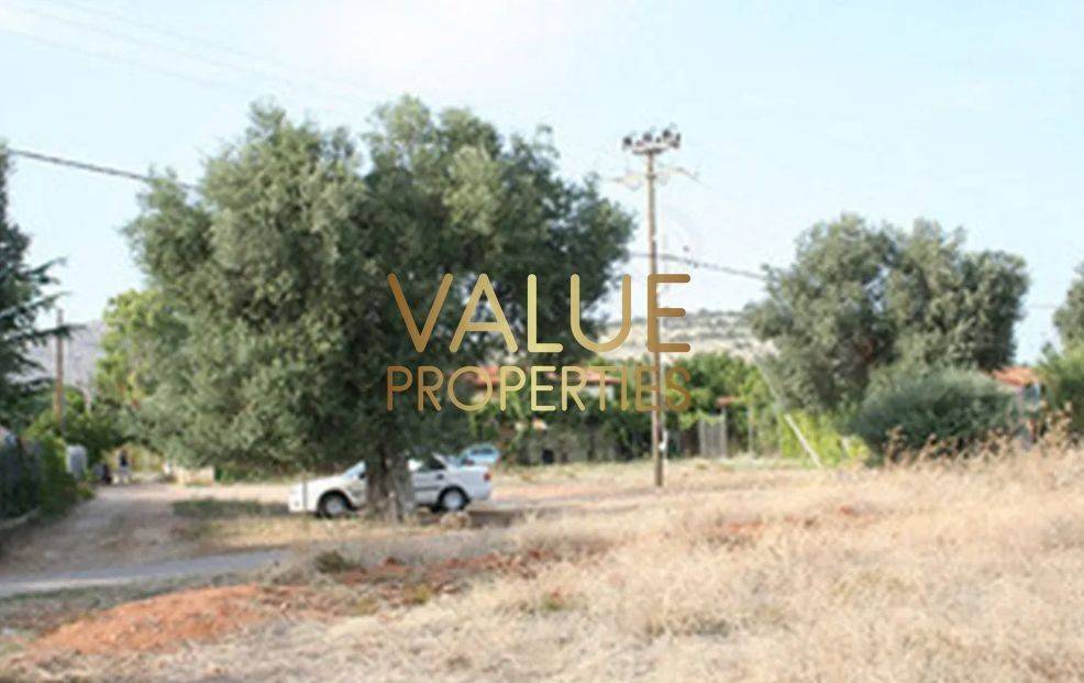 Εξωτερικοι χώροι