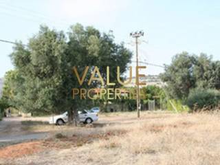 Εξωτερικοι χώροι