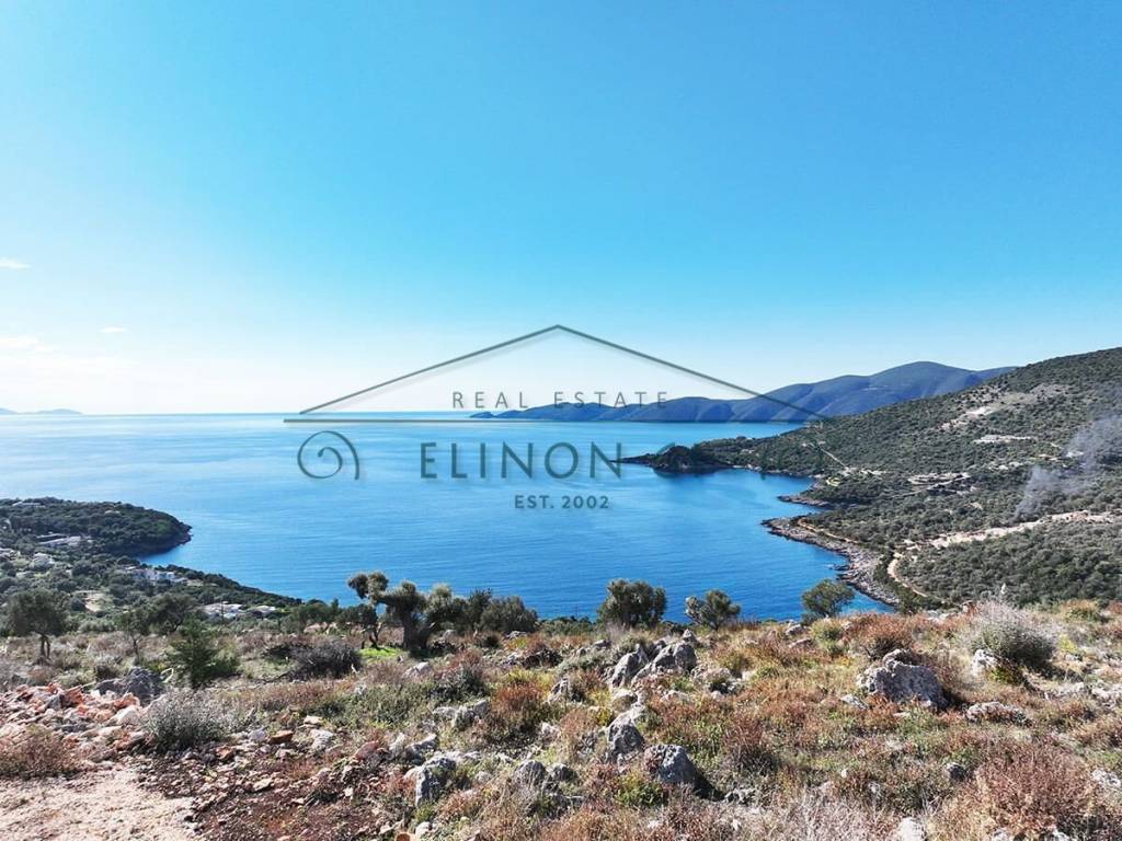 Η θέα από το κτήμα