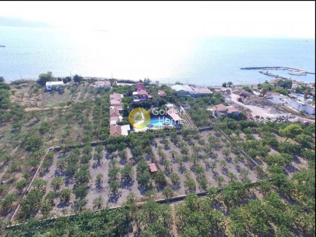 Ανελκυστήρας