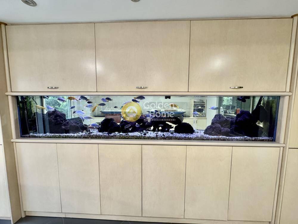 Ανελκυστήρας