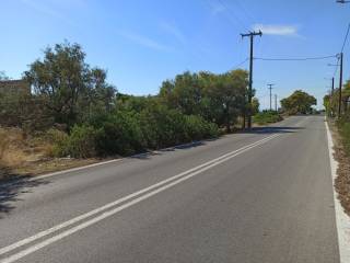 PROSOPSE 25 m. EPI TES PALAIAS ETHNIKES ODOY