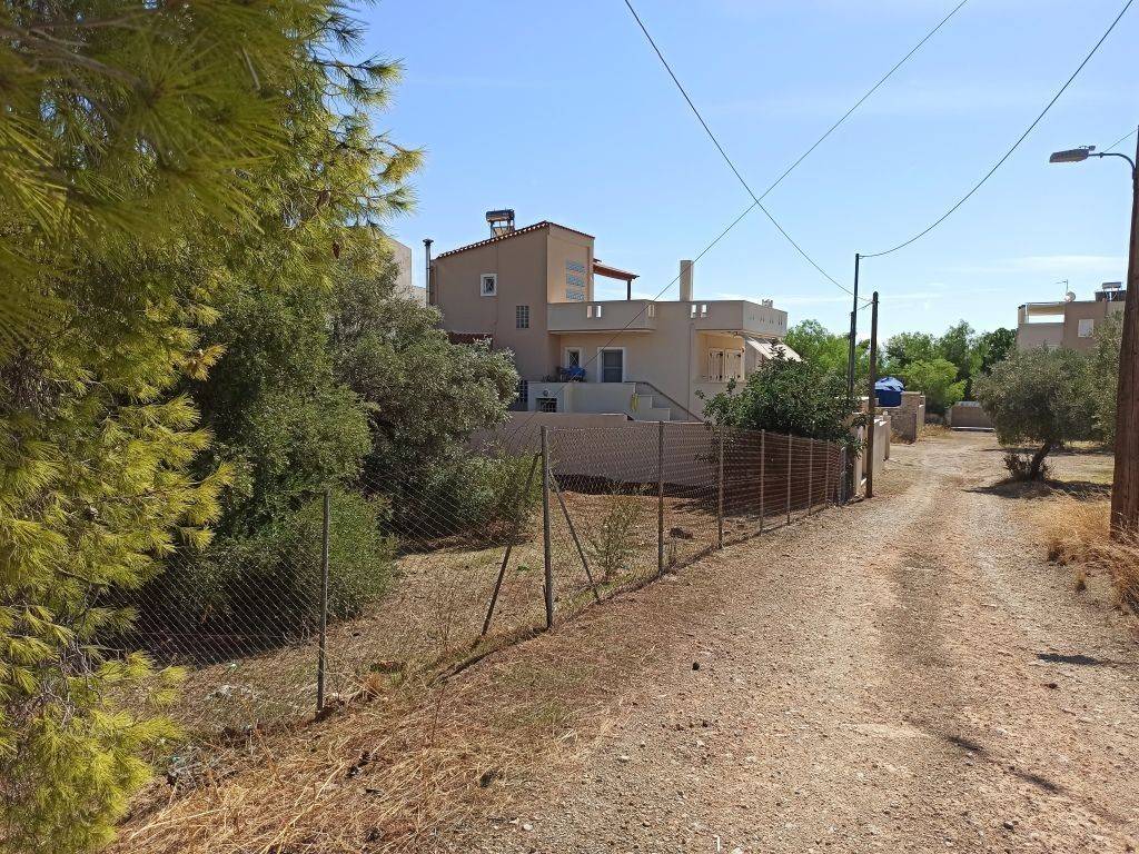 PROSOPSE 21 m. SE DROMO PLATOYS 5 m.