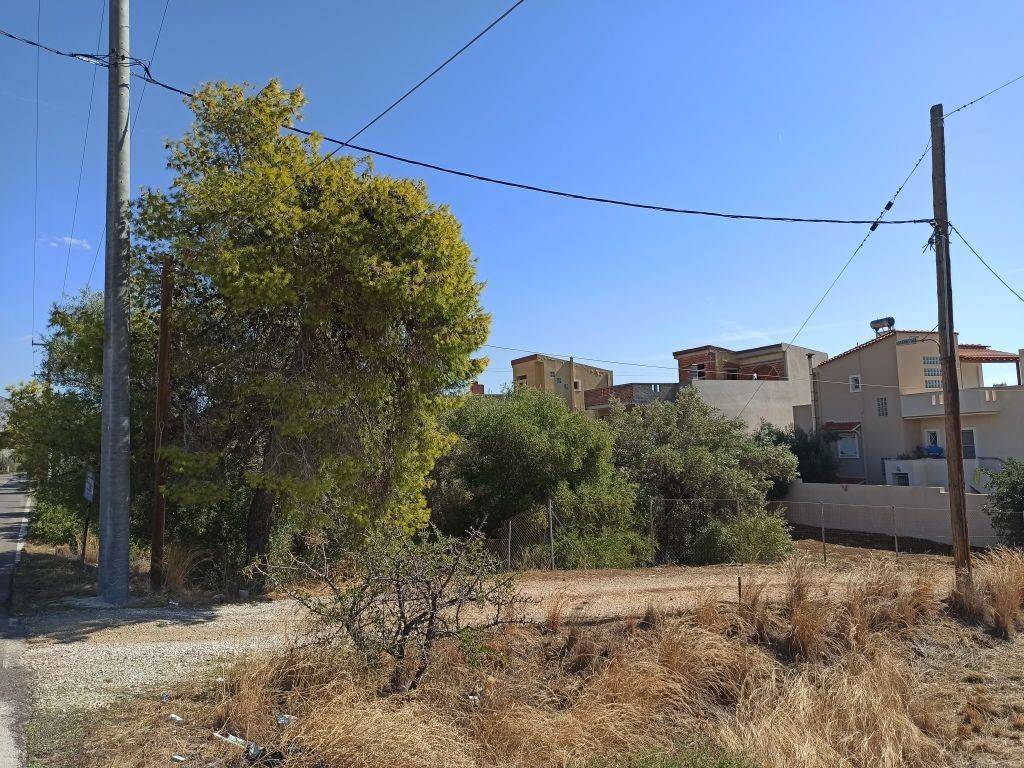 PROSOPSE 21 m. SE DROMO PLATOYS 5 m.